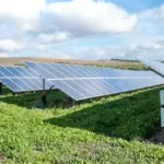 Does Your Business Qualify? The Types of Projects That Earn Carbon Credits